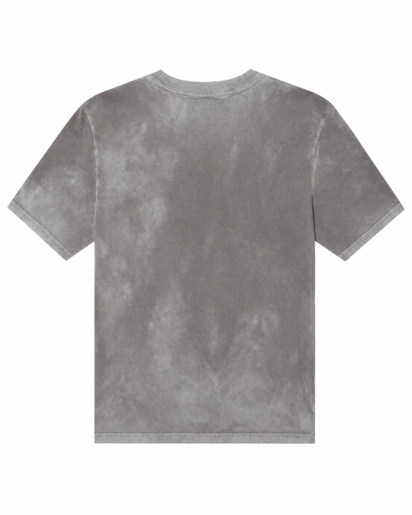 Blank back of the mineral-washed gray Opal Electronics tee