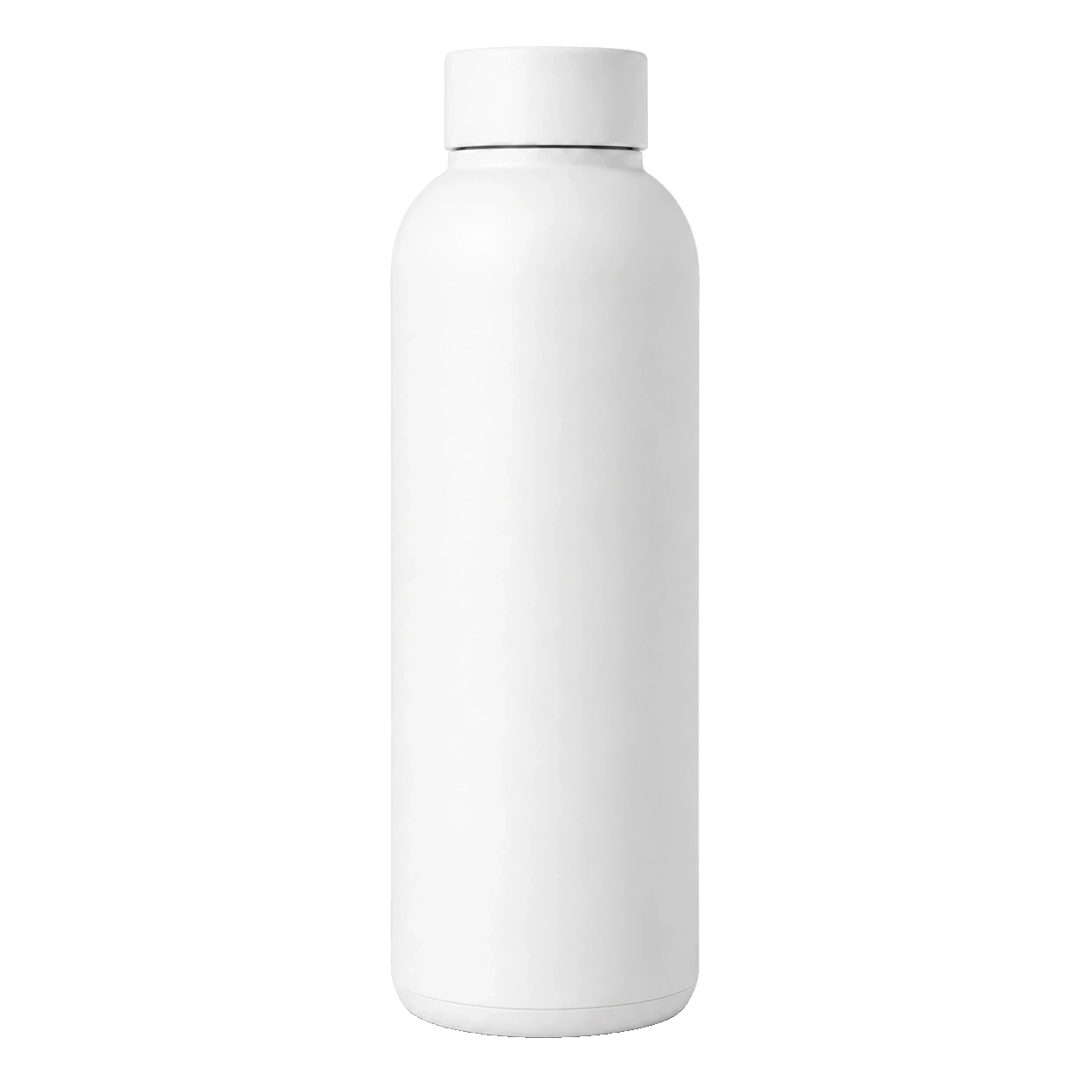 Insulated Water Bottle