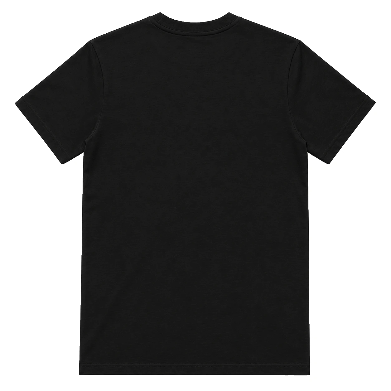 black t-shirt, Classic Fit Tee product photo on studio background, back view