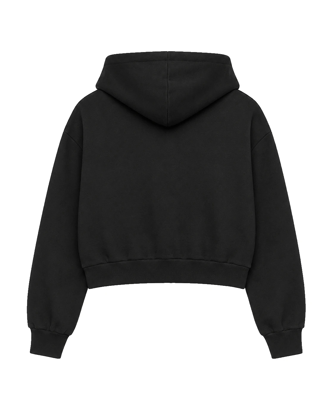 black hoodie, Crop Zip Hoodie product photo on studio background, back view
