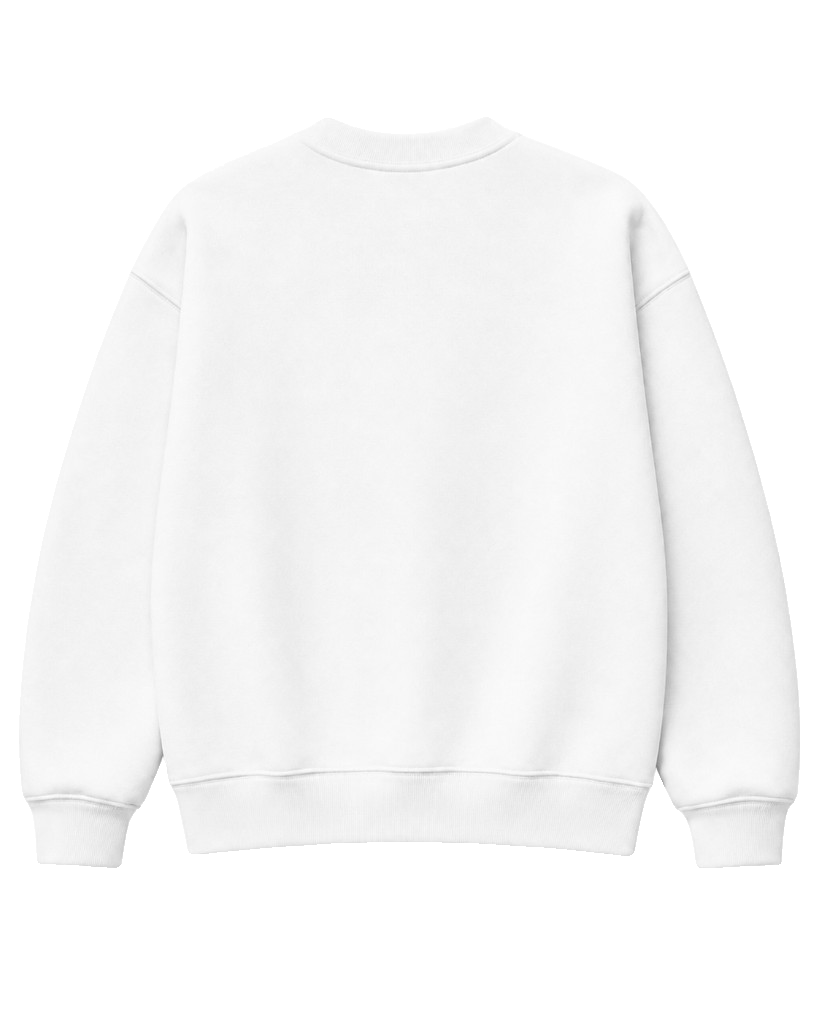 pfd crewneck, Heavy Crewneck product photo on studio background, alternate angle
