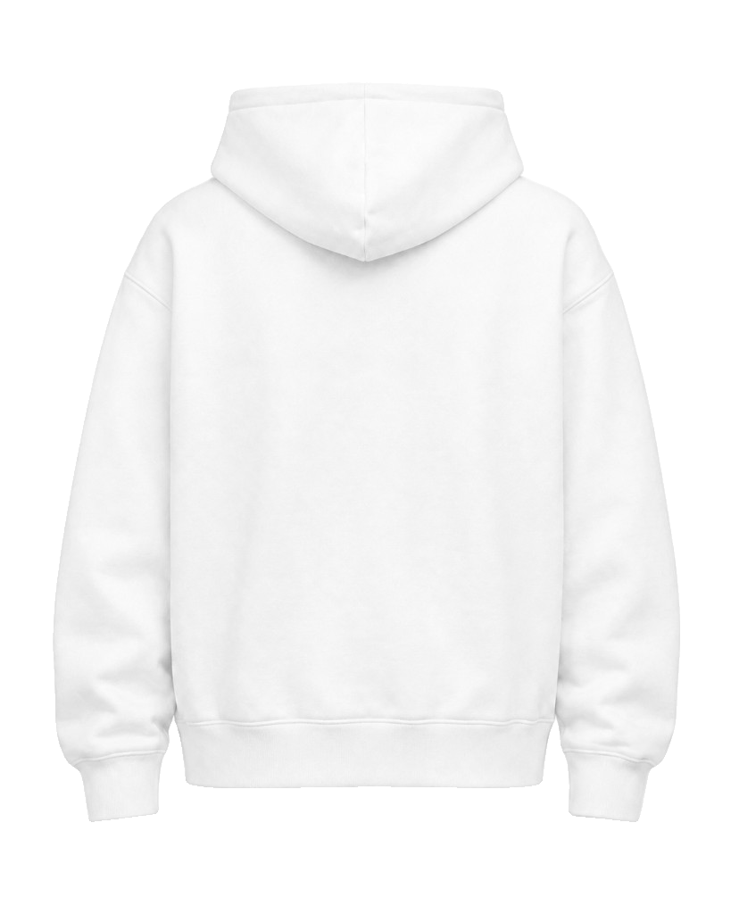 pfd hoodie, Heavy Hoodie product photo on studio background, alternate angle