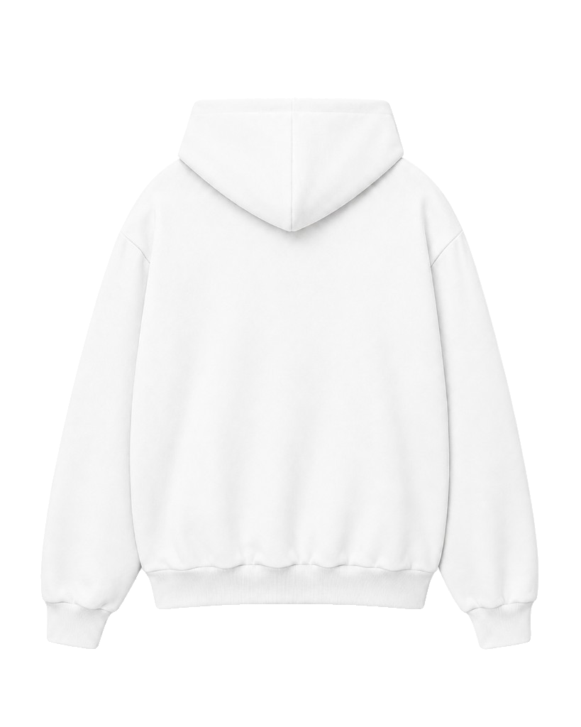 pfd hoodie, Merch Hoodie product photo on studio background, alternate angle