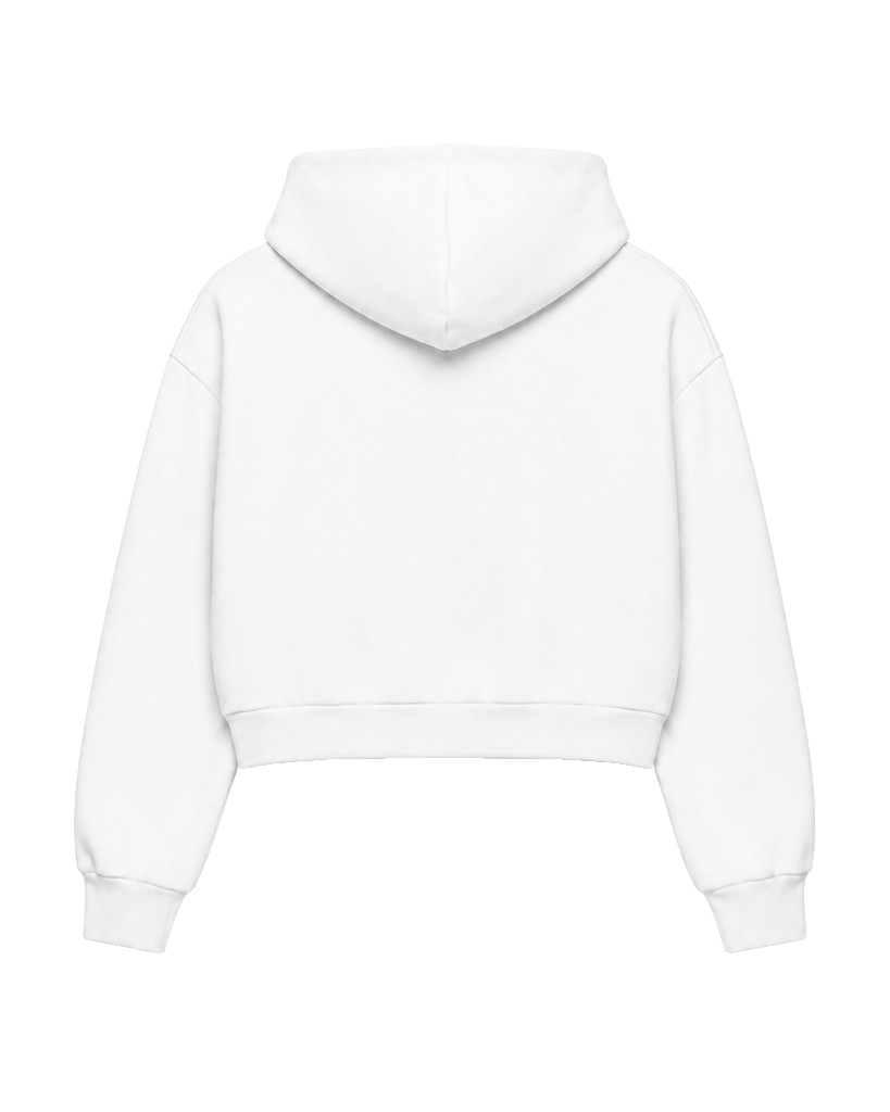 pfd hoodie, Oversized Crop Hoodie product photo on studio background, alternate angle