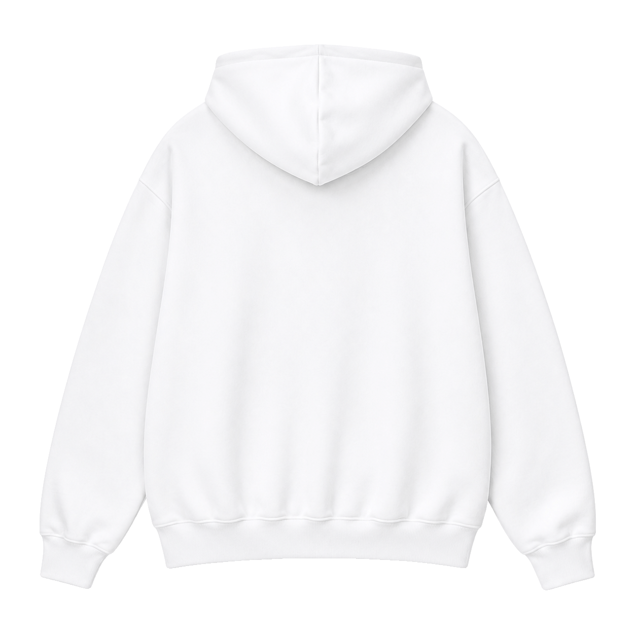pfd hoodie, Oversized Hoodie product photo on studio background, alternate angle