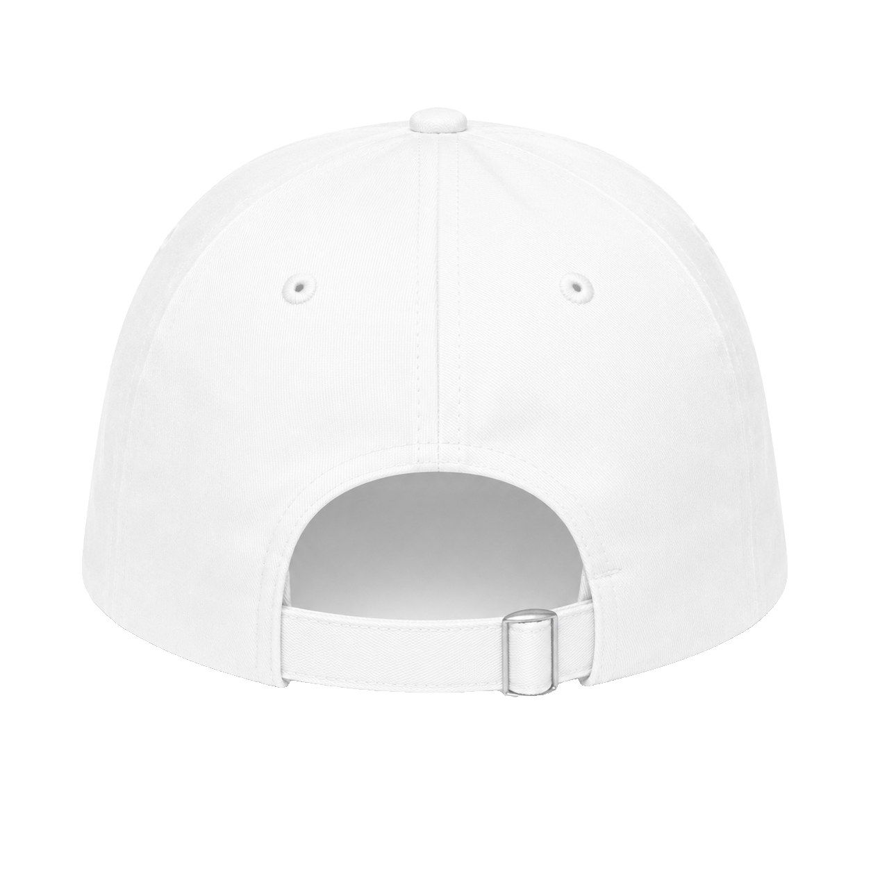 pfd blank, Classic 6-Panel Cap product photo on studio background, alternate angle